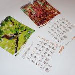 sienas kalendāri gunchi_sienasKalendars